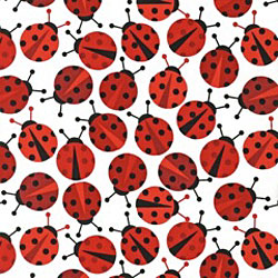 Lisali - Lady Bug