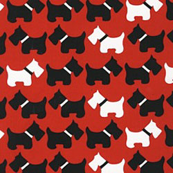 Lisali - Dog